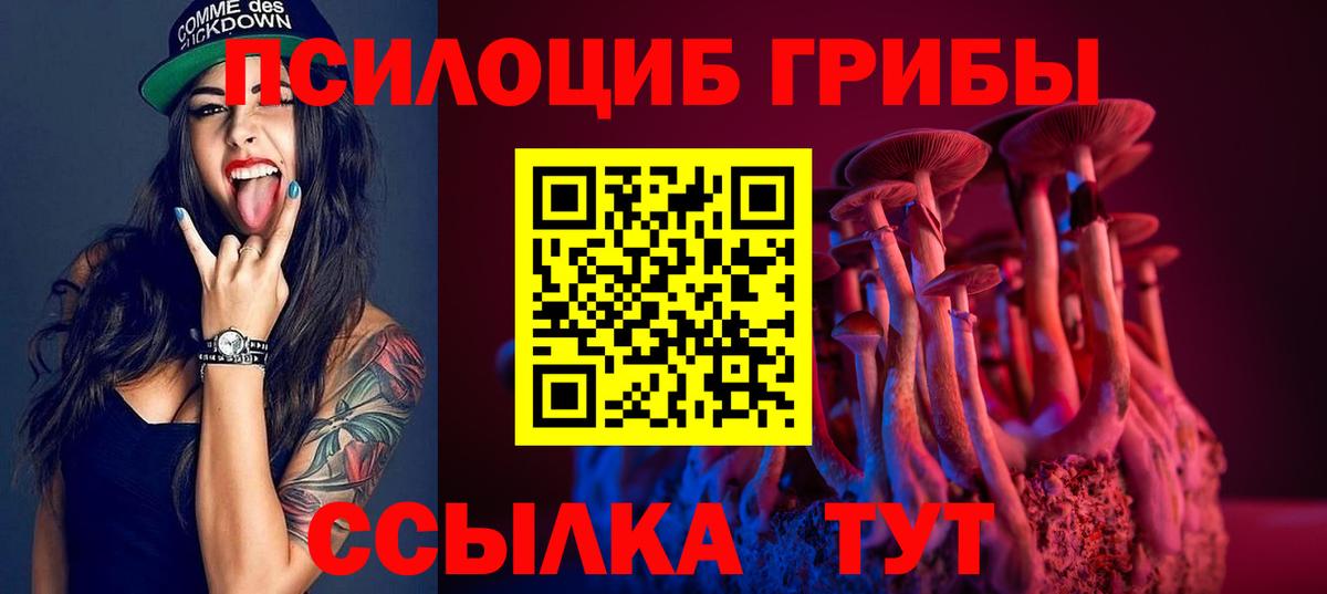 Новосибирск  где продают наркотики  Псилоцибиновые грибы прущие грибы  Вход с VPN  Псилоцибиновые грибы Psilocybe 
