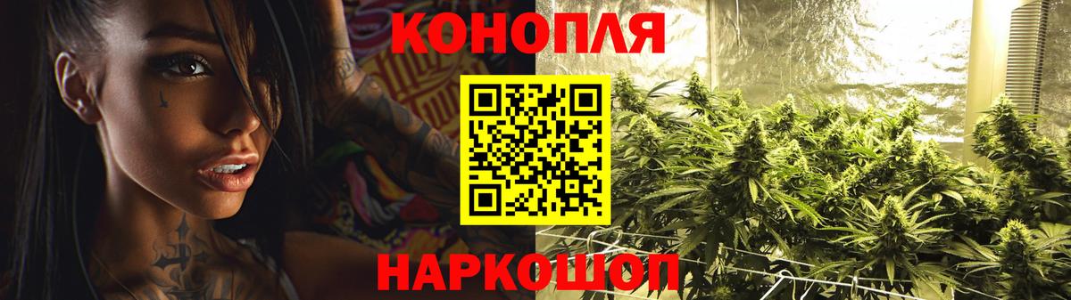 Канабис планчик Новосибирск